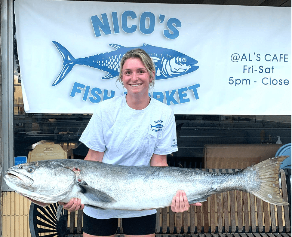 34 lb Local White Sea Bass